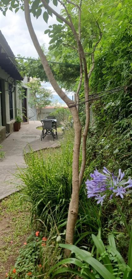 Los Tarcos Guest House San Salvador de Jujuy Ngoại thất bức ảnh